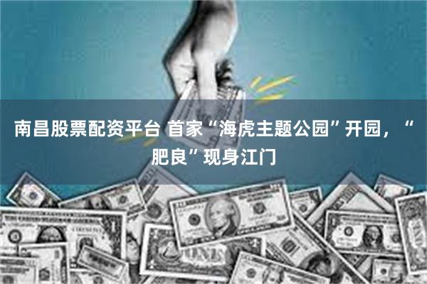 南昌股票配资平台 首家“海虎主题公园”开园，“肥良”现身江门