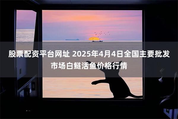 股票配资平台网址 2025年4月4日全国主要批发市场白鲢活鱼价格行情