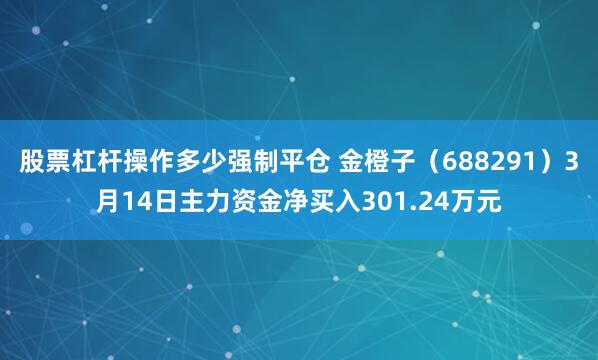 股票杠杆操作多少强制平仓 金橙子（688291）3月14日主力资金净买入301.24万元