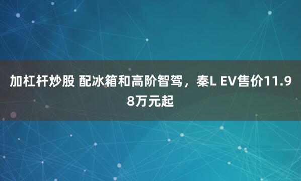 加杠杆炒股 配冰箱和高阶智驾，秦L EV售价11.98万元起
