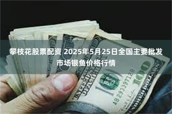 攀枝花股票配资 2025年5月25日全国主要批发市场银鱼价格行情