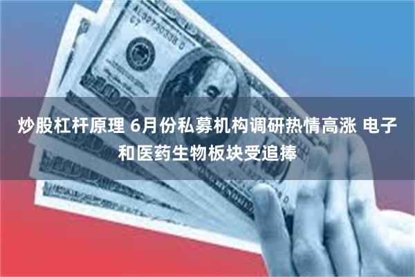 炒股杠杆原理 6月份私募机构调研热情高涨 电子和医药生物板块受追捧